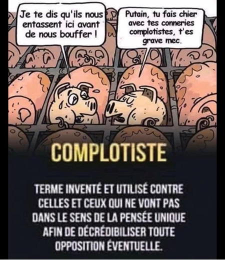 Reflexion Covid 19