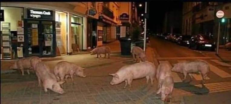 une rue de Molenbeek de nuit