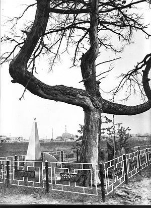 l'arbre aux pendus