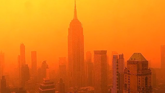 New York City version orange