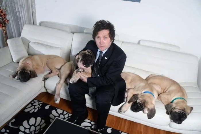 Javier Milei a procédé à un processus de clonage pour conserver vivant le souvenir de son animal de compagnie bien-aimé.