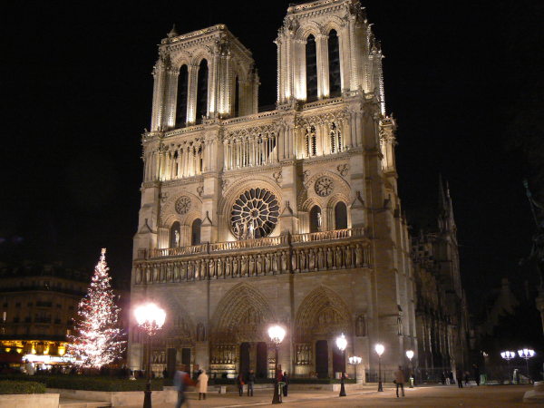 Notre Dame de paris de nuit