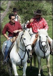 Cavalier N Sarkozy