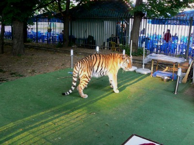 Tigre dans Gorki Park