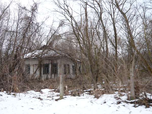 Zone de Tchernobyl