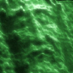 Face du suaire de Turin en 3D