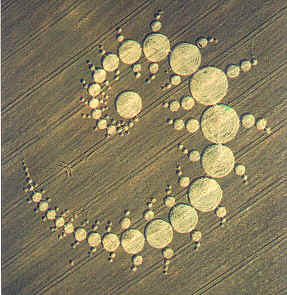 crop circle starseed en détail