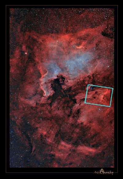 Nébuleuse du Pélican dans la constellation du Cygne (sous référence IC5070 et IC5067) 