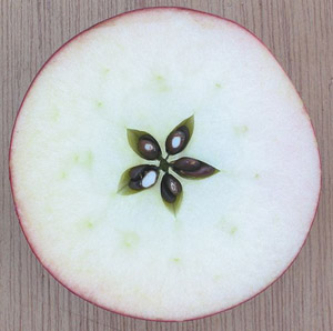 Pomme coupée en deux présentant les cinq pépins  en forme d'étoile à cinq branches
