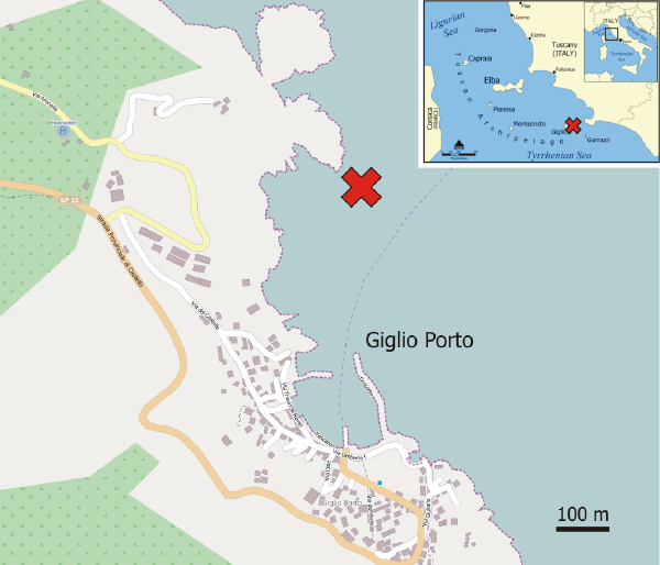 Localisation du naufrage du Costa Concordia près de l'île du Giglio 