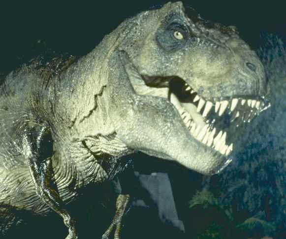 "Tyrannosaurus rex"