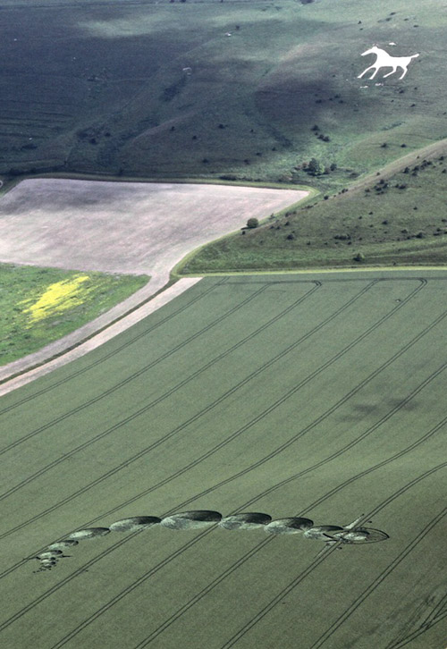 Formation de crop-circle "Transit de venus" à Woodborough Hill - 25 juin 2012 - Alton Barnes - (Wiltshire)