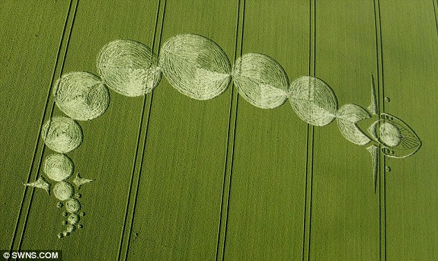 Formation de crop-circle "Transit de venus" à Woodborough Hill - Alton Barnes - (Wiltshire)