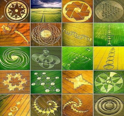 Photo-montage de 20 exemples de crop-circles